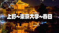 知性の灯りと水の静寂：不忍池から東大本郷キャンパスを巡るナイトウォーク