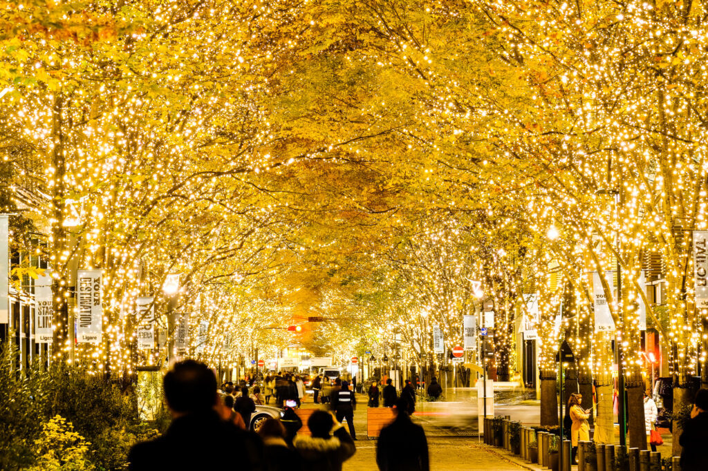 締切間近‼️【残り数枠】12/10 丸の内イルミネーション✨