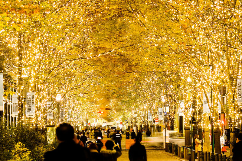 締切間近‼️【残り数枠】12/10 丸の内イルミネーション✨