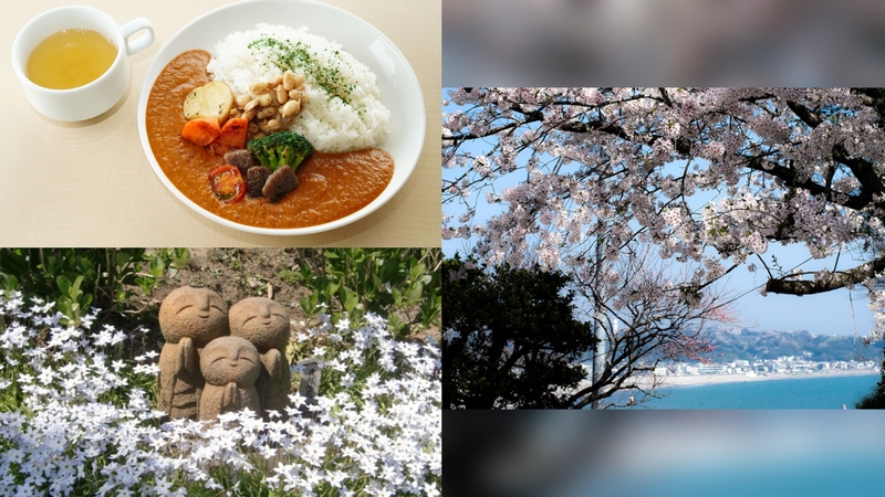 【女性主催】鎌倉で海と桜を見ながら仏閣巡りと寺カレーを食べにいこう！