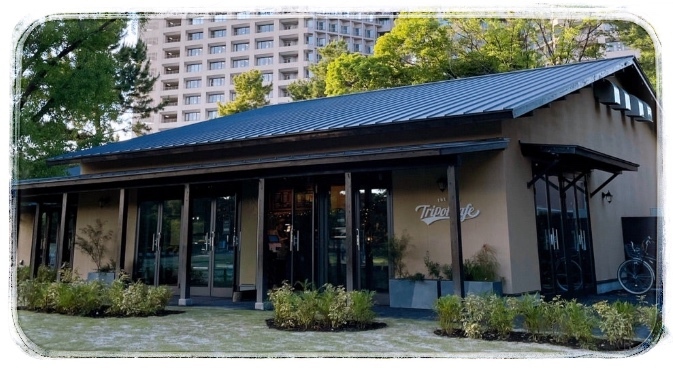 ⭐️旅好き、カフェ好き会⭐️ランチしながら色々とお話しましょう⭐️