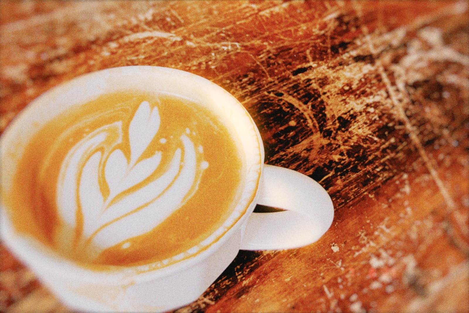 【12/22(月) 14:00〜】
こじんまりコーヒー会 in 箱崎