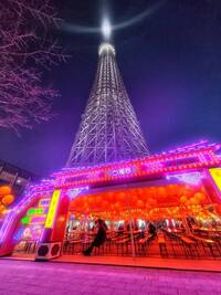 【20代30代限定】台南ランタン祭に行こう🌸🌸