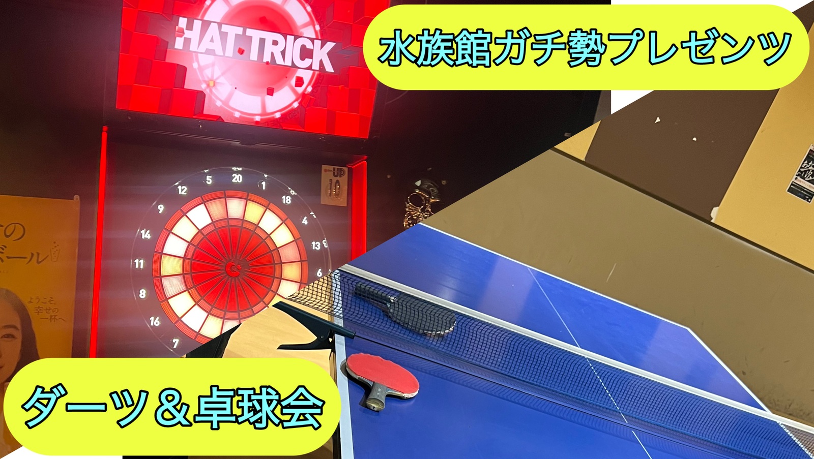 水族館ガチ勢プレゼンツダーツ＆卓球よくばり合流会