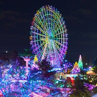 【男女共催】よみうりセンター名物ジュエルミネーションとHANA・BIYORIを見ながら散歩しよう✨