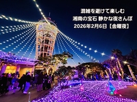 【金曜夜】混雑を避けて楽しむ｜湘南の宝石 静かな夜さんぽ