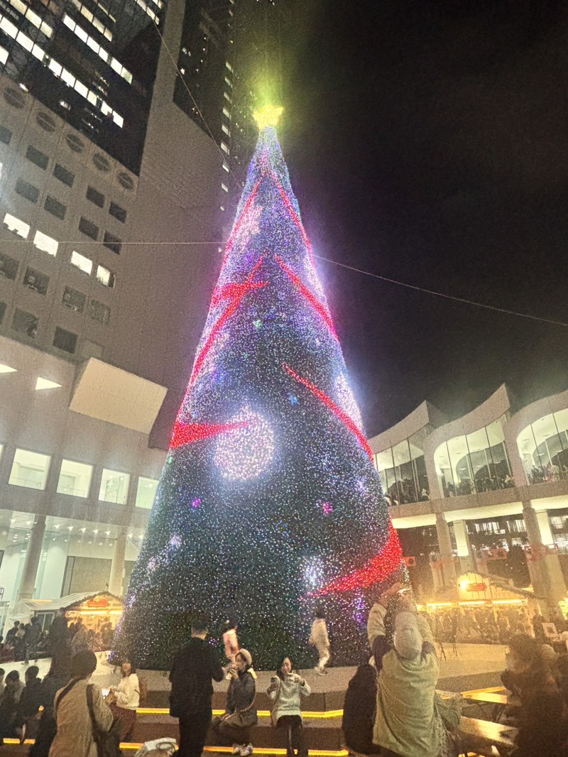 🎄🌙 クリスマス夜カフェ☕️✨12/24