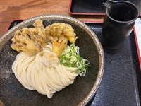 🍲 夜うどん会 🌙12/16