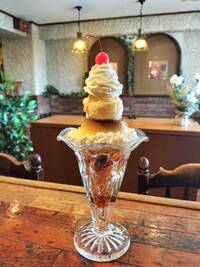 【20代30代限定】昔ながらの喫茶店に行こう！おすすめはプリンパフェ🌷🌷