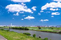 【1/2(金)南千住駅 10時集合】荒川河川敷＆汐入公園ゆったりお散歩コース🚶🌳