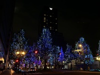 12/29（月）夜ウォーキング🚶🌉