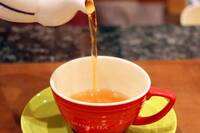 【20代30代限定】紅茶専門店へ行こう！紅茶が100種類あります〜🐽🐽