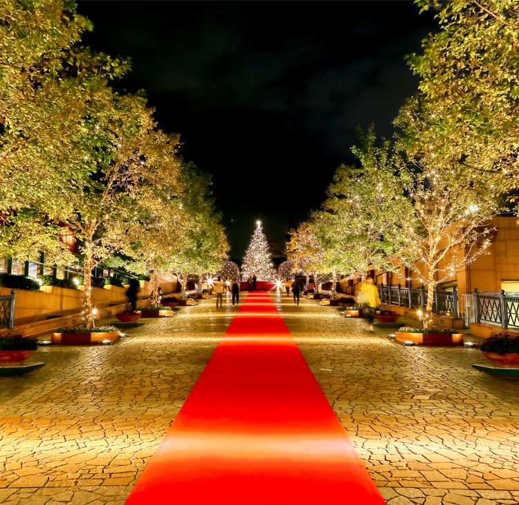 当日◎🎅恵比寿イルミ＆マルシェ🎄【25-35歳1人参加限定】途中参加退出歓迎🙆‍♀️クリスマス