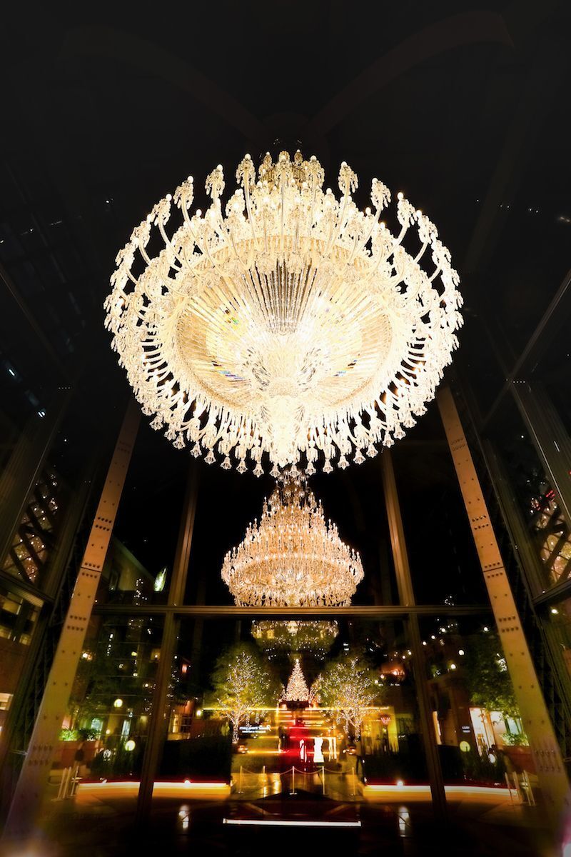 🎅恵比寿イルミ＆マルシェ🎄【25-35歳1人参加限定】途中参加退出歓迎🙆‍♀️クリスマスマルシェ＆イルミネーション