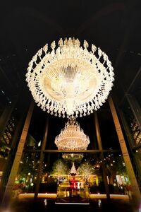 🎅恵比寿イルミ＆マルシェ🎄【25-35歳1人参加限定】途中参加退出歓迎🙆‍♀️クリスマスマルシェ＆イルミネーション