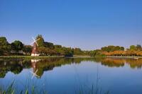 【浮間舟渡駅9時集合】1万歩目指す！浮間公園＆舟渡水辺公園&熱帯環境植物館めぐり🌳限定3時間ウォーキング体験