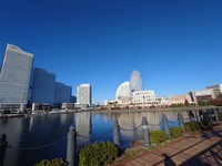 【12/20】【30代限定】朝活🌅女性主催⚓️少人数⛲️早朝のみなとみらいをウォーキング！