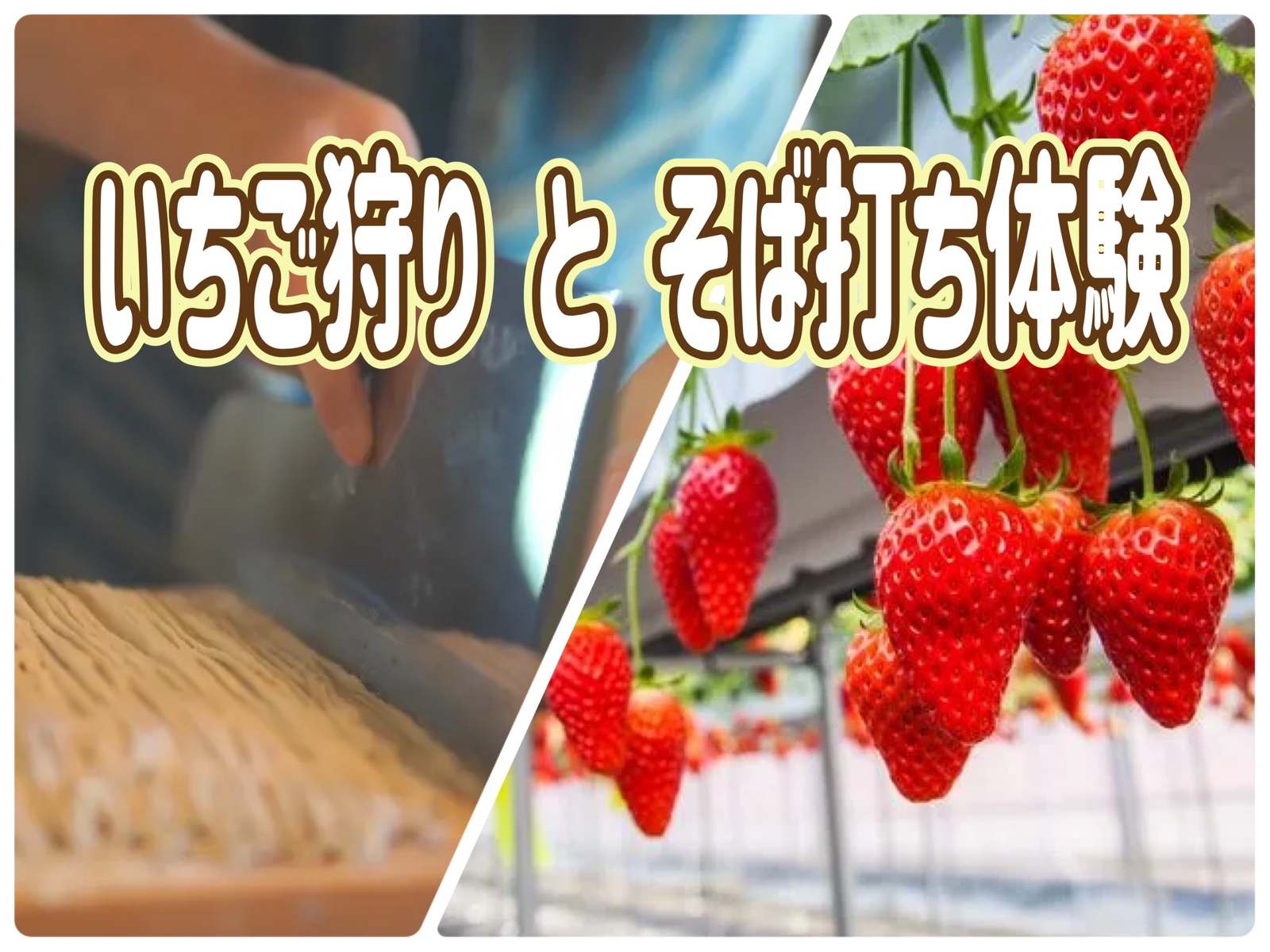 2/1 【いちご狩り/そば打ち体験】初参加歓迎！特急ラビューで行く極上の日帰り旅！