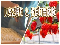 2/1 【いちご狩り/そば打ち体験】初参加歓迎！特急ラビューで行く極上の日帰り旅！