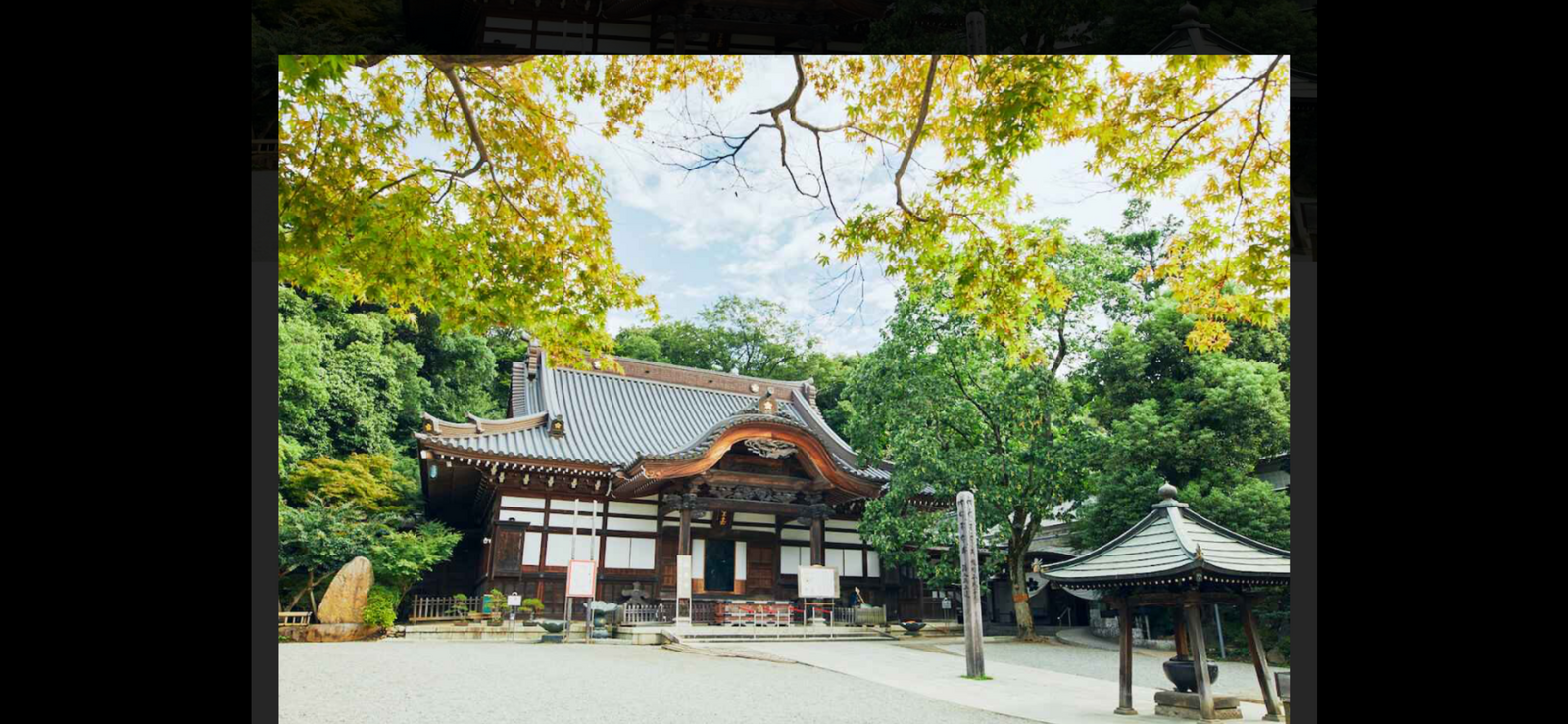 ⭐️主催者誕生日イベント話題の新緑スポット🍃調布市深大寺で癒し体験！