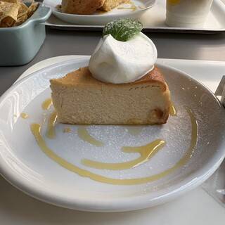 【20代30代限定】六本木の穴場カフェに行こう！おすすめはベイクドチーズケーキ🎀🎀