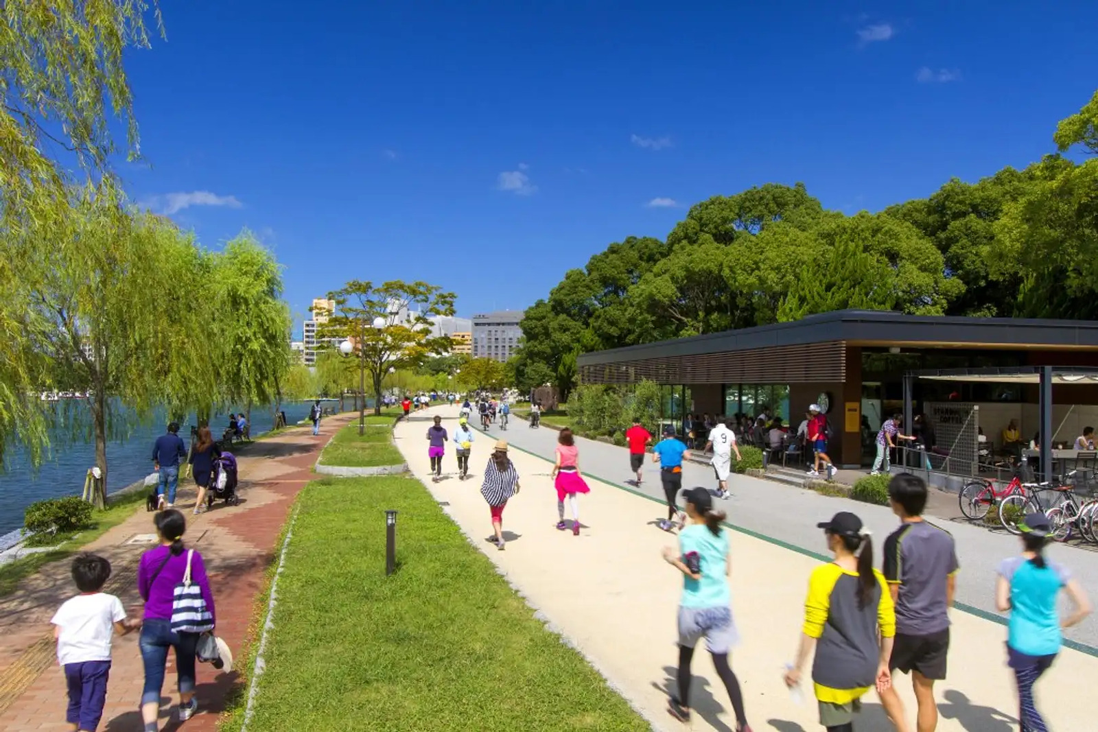 ⛄️年末×公園×アオハウォーキング☃ 12/20(土)🔰 10時-11時 (💰バックキャンペーン)