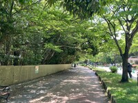 ⛄️年末×公園×アオハウォーキング☃ 12/20(土)🔰 10時-11時 (💰バックキャンペーン)