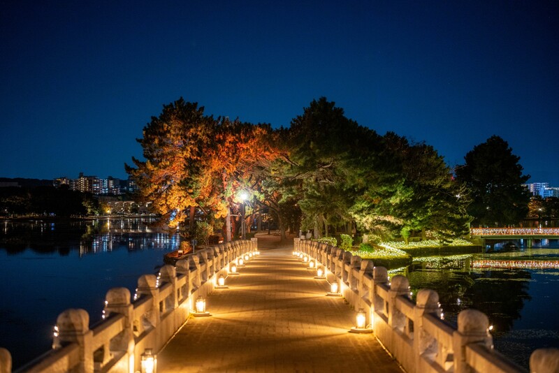 ⛄️年末×ウォーキング×歩き納め☃ 12/28(日)🔰 20時-21時 (💰バックキャンペーン)