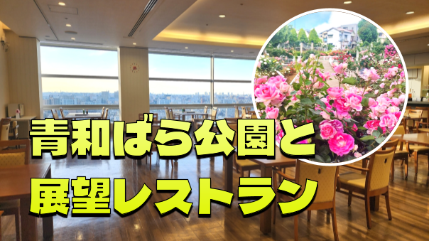 《ばらのまち青井》青和ばら園と青井散策　最後に区役所展望レストランでランチ会