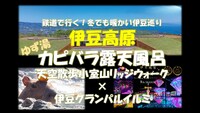 癒しの伊豆高原 カピバラ露天風呂、小室山リッジウォーク、伊豆グランイルミ　