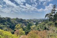 【鎌倉天園ハイキングコース✕食べ歩き】鎌倉を満喫する特別な休日🌿✨
