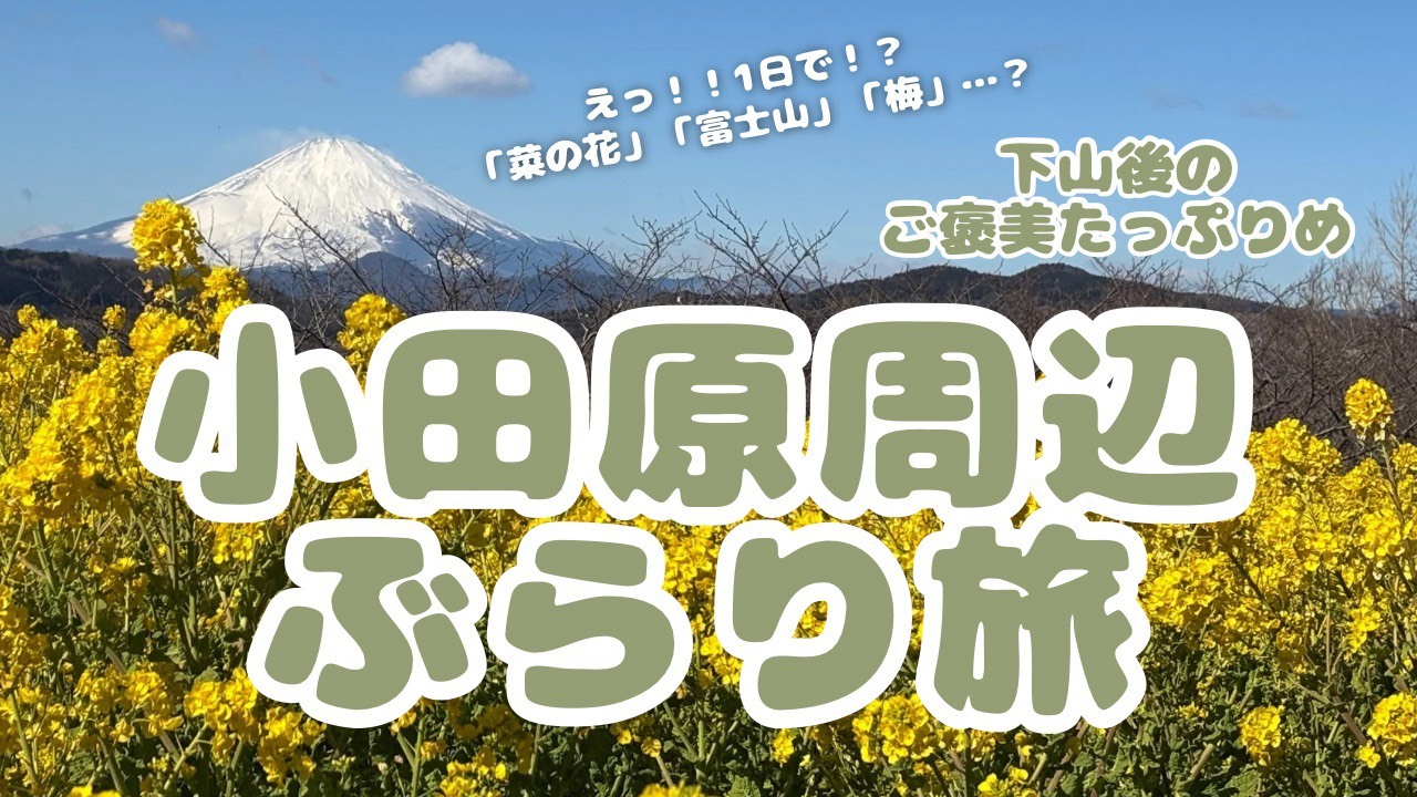 【はぴヨロ🍀】登山部🏕️冬は寒いから？山登りはちょっとだけ…盛りだくさんの『小田原ぶらり旅』