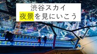 【1月10日(土)】渋谷スカイの夜景を見にいこう★１度行ってみたかった名所！