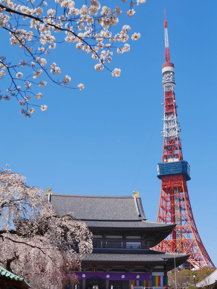 【男女共催】年末詣！増上寺界隈を歩いてみよう✨【歴史散歩】