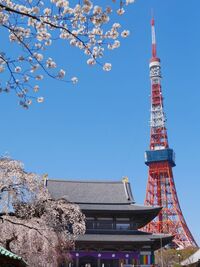 【男女共催】年末詣！増上寺界隈を歩いてみよう✨【歴史散歩】