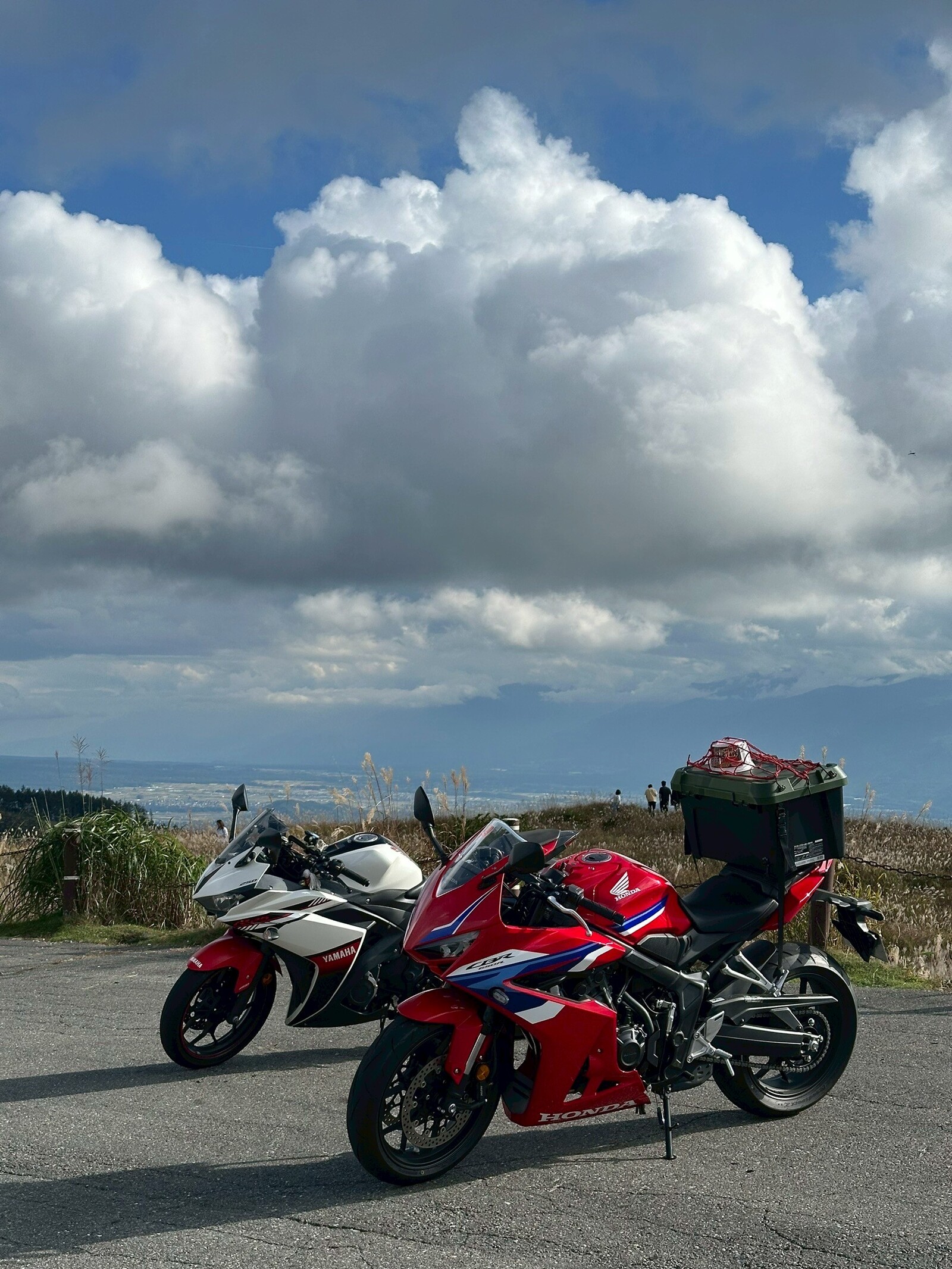 【バイク】江東区クリスマスライティング