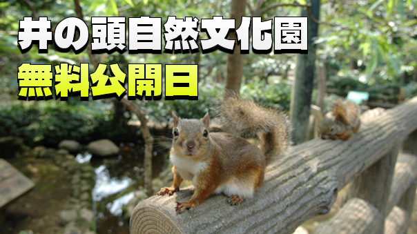 無料開園日！井の頭自然文化園にいってみよう！