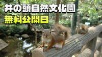 無料開園日！井の頭自然文化園にいってみよう！