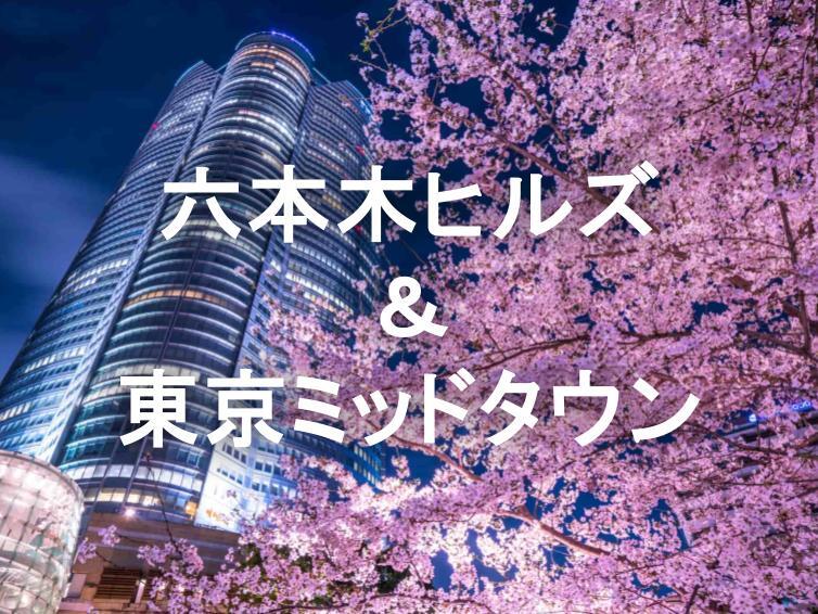 都会を彩る桜のパレード！ミッドタウンからヒルズへ巡る至福の夜桜クルーズ