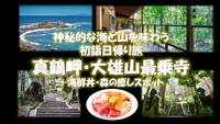 神秘的な海と山を味わう初詣日帰り旅　真鶴岬、海鮮、大雄山最乗寺、森の癒しスポットへ　アラサー・アラフォー歓迎