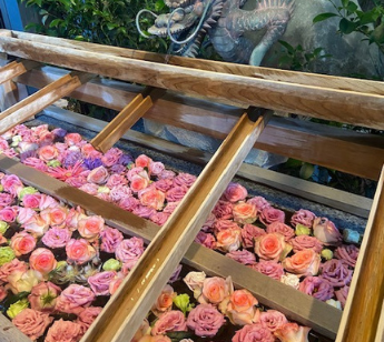 一粒万倍日吉日　浅草　初詣縁初詣パワースポットも　食べ歩き　散歩散策会 