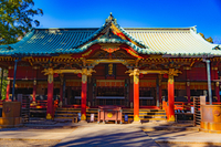 【女性主催】年始企画！根津神社で初詣＆おみくじ体験✨新年スペシャル！屋台も満喫しよう🎍