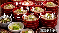 ①《日本全国グルめぐり🍴》3. 岩手”わんこそば たち花” 