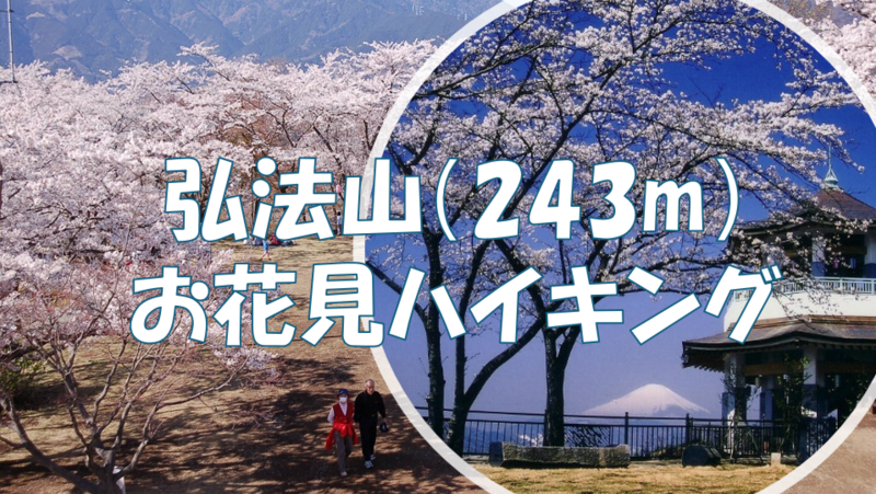 【早割中・初心者向け登山シリーズ】弘法山でお花見ハイキング♪