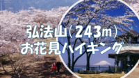 【早割中・初心者向け登山シリーズ】弘法山でお花見ハイキング♪