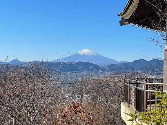 【登山初心者オススメ🔰】弘法山公園・吾妻山ハイキングコース🌲足湯・温泉付きの大人気コース⛰️