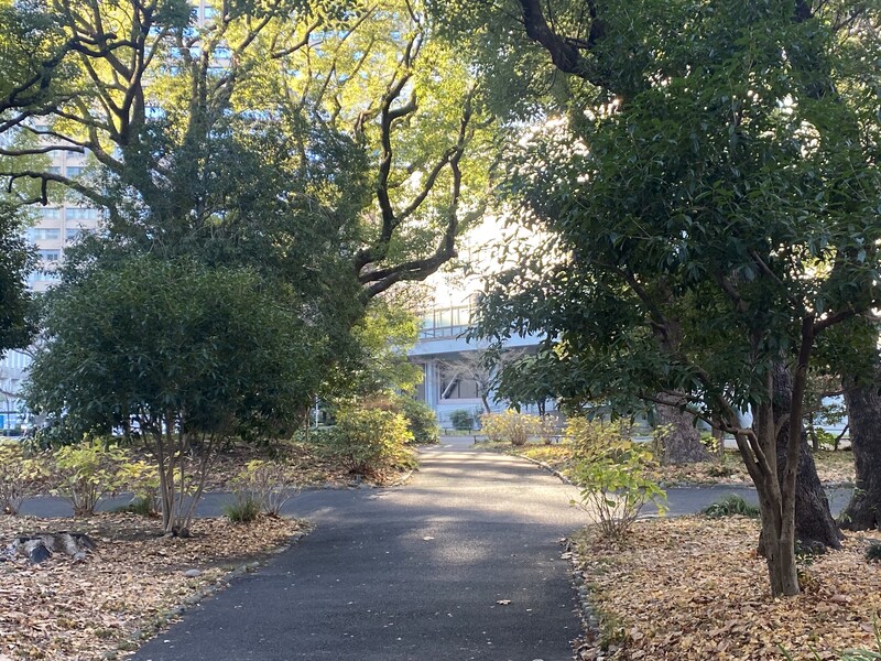 🚶🏻【日比谷公園】朝さんぽ と カフェトーク