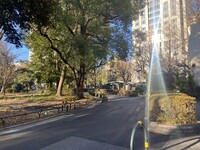 🚶🏻【日比谷公園】朝さんぽ と カフェトーク