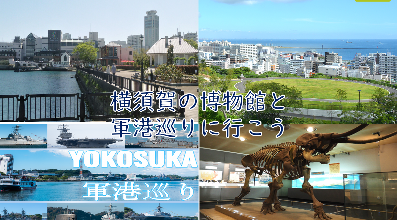 【日本軍の歴史と軍港の街】横須賀を歩こう（説明・解説有り）