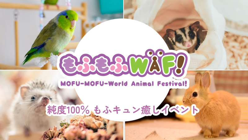 （検討中）🐑🐶もふもふWAF!🐱🐰開始時間など変更する可能性があります。（遅くとも1/17迄に確定させます）